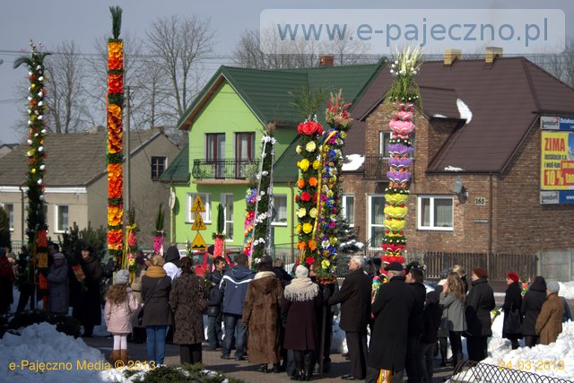 palmy trębaczew gmina działoszyn