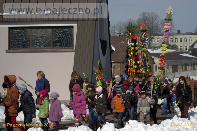 palmy trębaczew gmina działoszyn