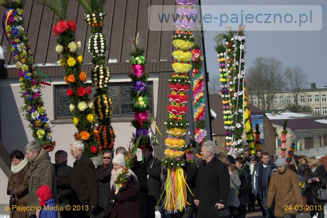palmy trębaczew gmina działoszyn