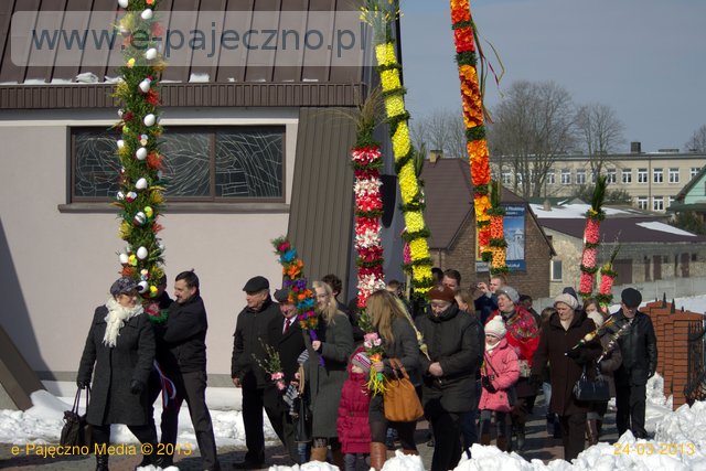 palmy trębaczew gmina działoszyn
