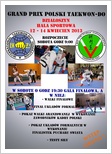 taekwondo działoszyn