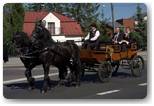 dożynki w pajęcznie 2013