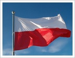flagi w pajęcznie