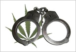 narkotyki marihuana dyskoteka wola jankowska