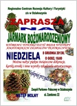jarmark pok działoszyn