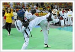 zawody taekwondo orient częstochowa