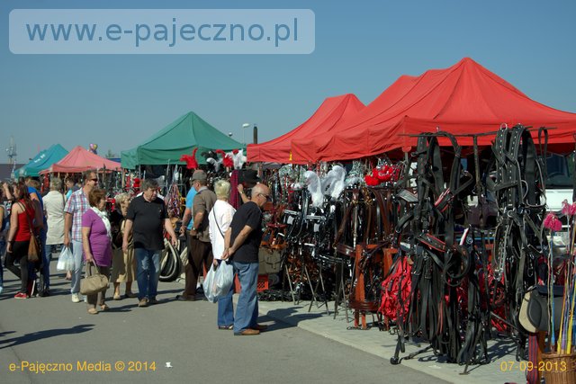 konie targ koński pajęczno