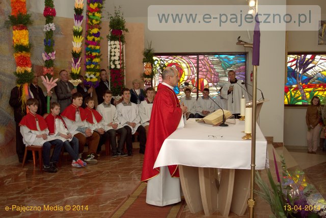 palmy trębaczew gmina działoszyn
