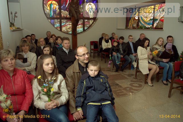 palmy trębaczew gmina działoszyn