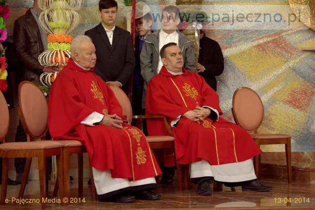 palmy trębaczew gmina działoszyn