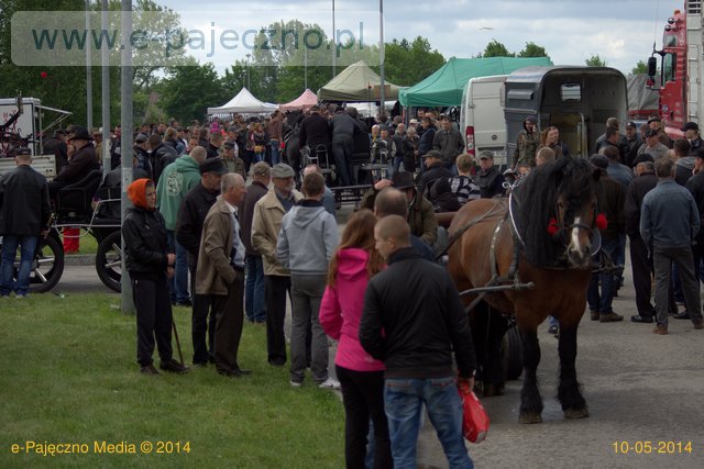 targi końskie pajęczno maj 2014