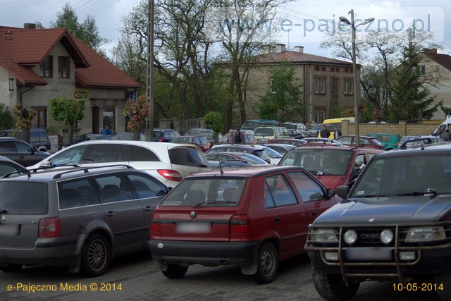 targi końskie pajęczno maj 2014