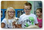 otwarcie gimnazjum pajęczno