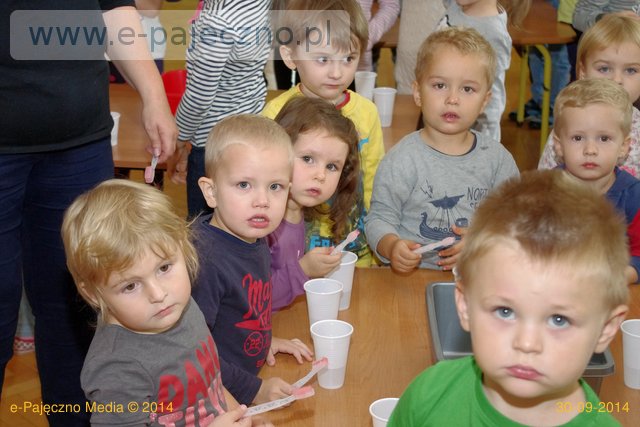 rekord guinnessa przedszkole pajęczno