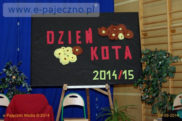 dzień kota zs pajęczno