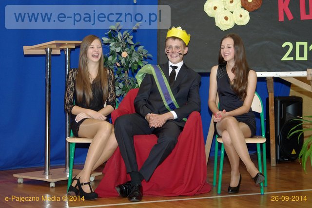 dzień kota zs pajęczno