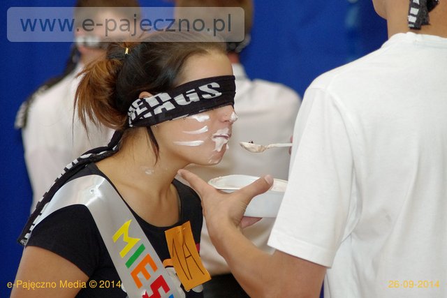 dzień kota zs pajęczno