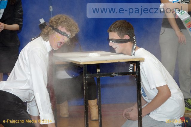dzień kota zs pajęczno