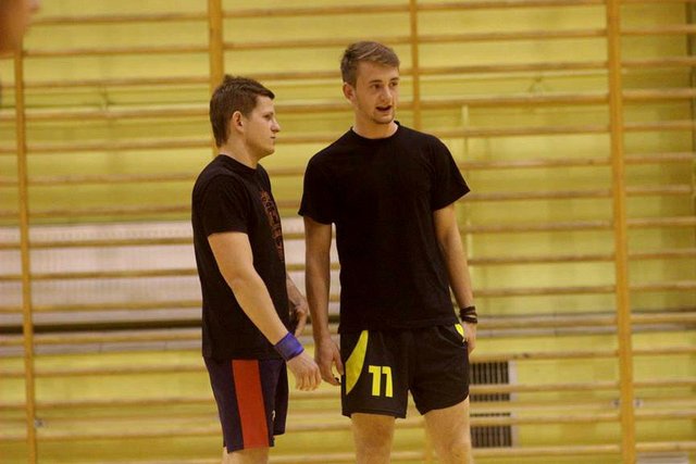 halpin pajeczno