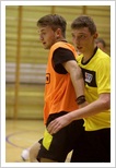 halpin pajeczno