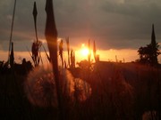 e-pajęczno galeria foto