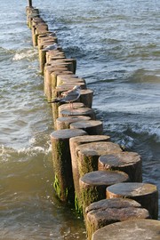 e-pajęczno galeria foto